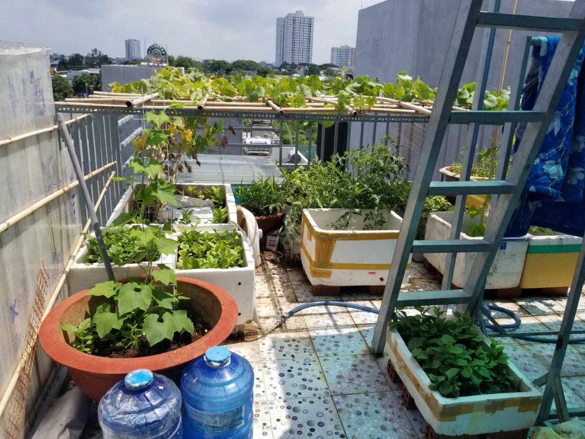 Ngoc Lan Homestay Vung Tau Exterior photo